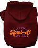 Happy Howl-Oween Halloween Pet Hoodie