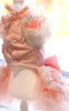 Dog Dress Feather Dream Princess Dress