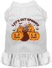 Get Spooky Halloween Pet Dress