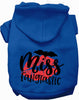 Miss Fangtastic Halloween Pet Hoodie