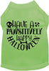 Pawsitively Happy Halloween Pet Shirt