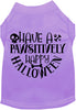 Pawsitively Happy Halloween Pet Shirt