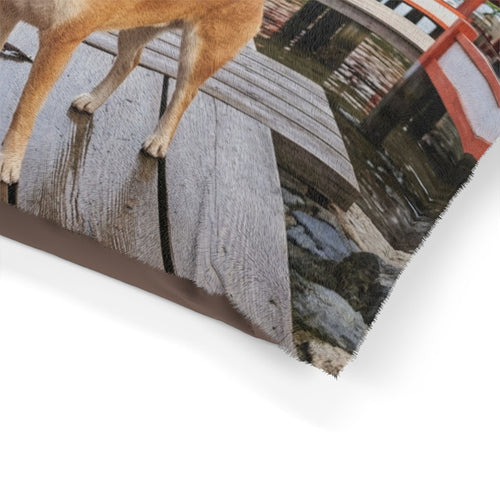 Shiba Inu Pet Bed