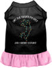 Kitty on the Naughty List Pet Dress