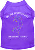 Kitty on the Naughty List Pet Shirt