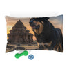 Bakharwal Pet Bed