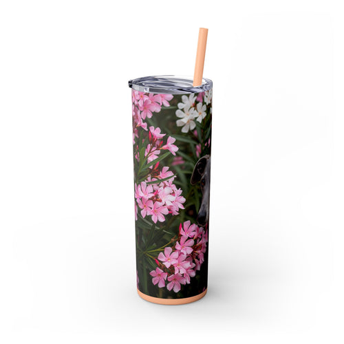Skinny Tumbler with Straw – 20 oz Stainless Steel Cup