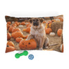 Autumn Pumpkin Patch Pet Bed