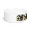 Ceramic Pet Bowl – 16 oz Dog Feeding Bowl