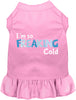 Freaking Cold Winter Pet Dress