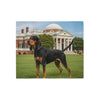 Black and Tan Coonhound Blanket