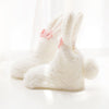 Autumn and winter coral velvet thickening plus velvet socks