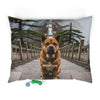 Chongqing Dog Pet Bed
