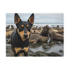 Australian Kelpie Blanket