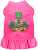 Crushin' It Nutcracker Style Pet Dress
