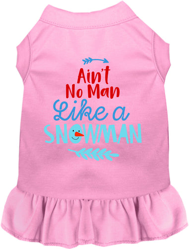 Ain't No Man Like a Snowman Pet Dress