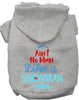 Ain't No Man Like a Snowman Pet Hoodie