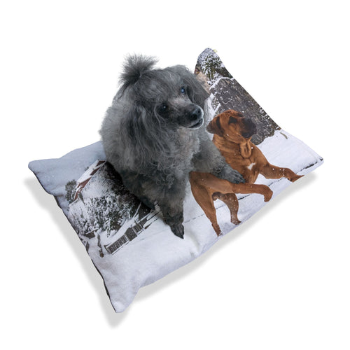 Tosa Pet Bed