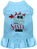 Save Santa the Trip Pet Dress