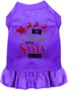 Save Santa the Trip Pet Dress