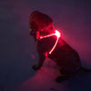 LED Dog Harness