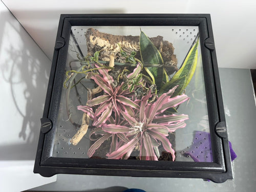 EncloSure™ Replacement Lid for Exo Terra Natural Terrarium 12″ × 12″