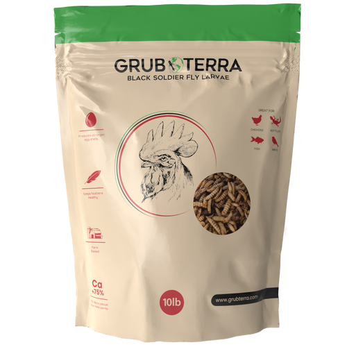 GrubTerra Black Soldier Fly Larvae