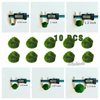 Marimo Moss Balls For Aquarium 10PCS Multiple Size Moss Ball Aqua Plant Pet Bulk Sale - Kokedama Japanese Algae Ball Wholesale