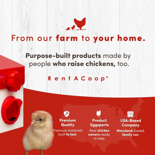 RentACoop Chick2Chicken 2.5lb BPA-Free Single-Port Feeder