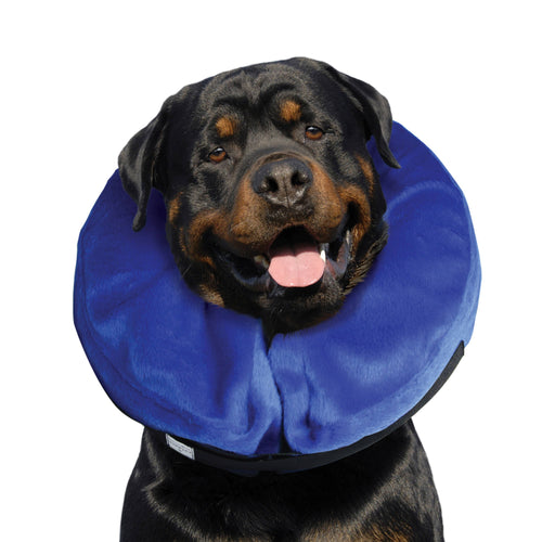 KONG® E-Collar Cloud® XL
