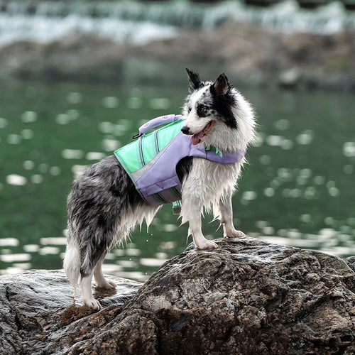 TrueLove Life Vest TLY1951