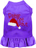 Better Not Pout Christmas Pet Dress