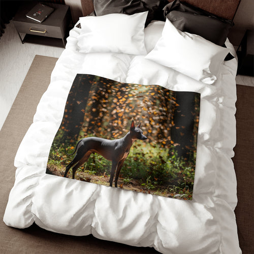 Xoloitzcuintli Blanket
