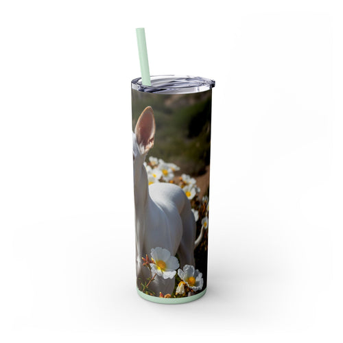 Skinny Tumbler with Straw – 20 oz Stainless Steel Cup