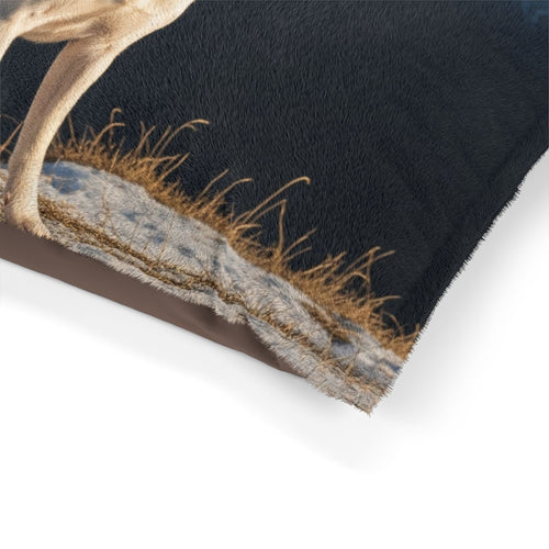 Gull Terrier Pet Bed