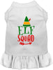 Elf Squad Christmas Pet Dress