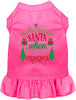 I've Got Grandma! Pet Dress