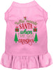 I've Got Grandma! Pet Dress