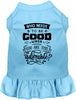 Who Needs to be Good? Pet Dress