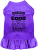 Who Needs to be Good? Pet Dress
