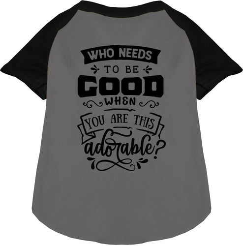 Who Needs to be Good? Pet Raglan Shirt