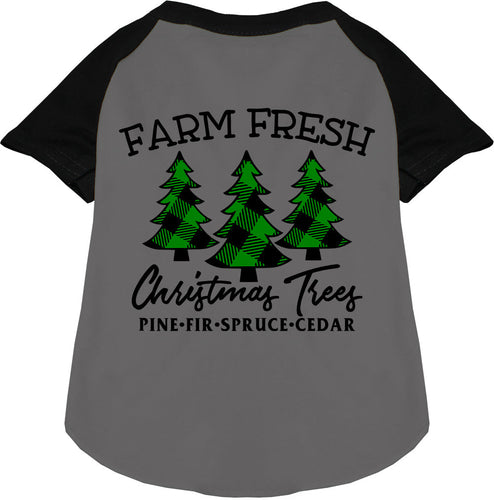 Farm Fresh Christmas Trees Pet Raglan Shirt