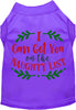 Can Get You on the List Christmas Pet Shirt