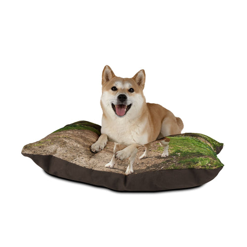 Beagle Pet Bed