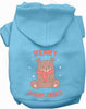 Beary Christmas Pet Hoodie