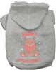 Beary Christmas Pet Hoodie