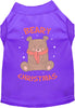 Beary Christmas Pet Shirt