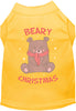Beary Christmas Pet Shirt