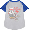 Owl I Want For Christmas Pet Raglan Shirt