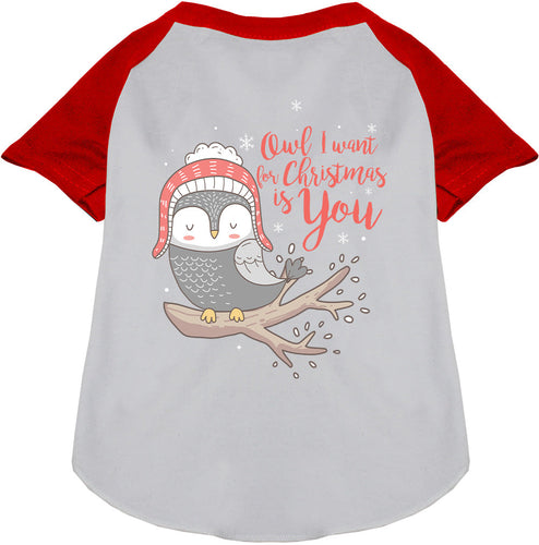 Owl I Want For Christmas Pet Raglan Shirt